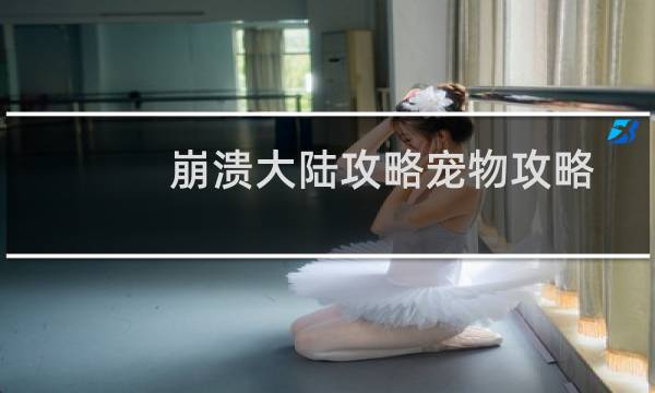 崩溃大陆攻略宠物攻略