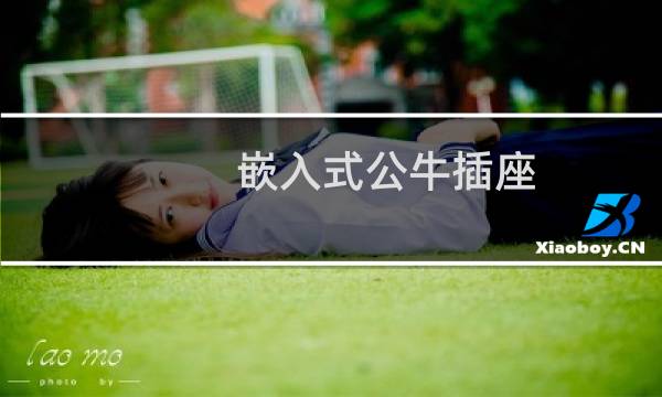 嵌入式公牛插座