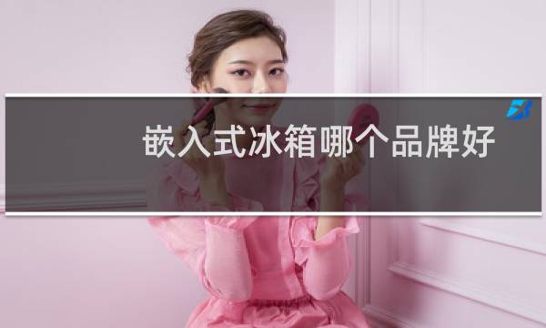 嵌入式冰箱哪个品牌好