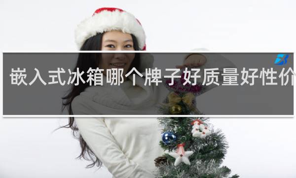 嵌入式冰箱哪个牌子好质量好性价比高