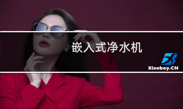嵌入式净水机