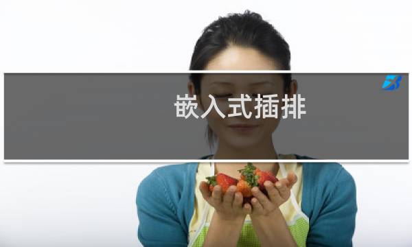 嵌入式插排