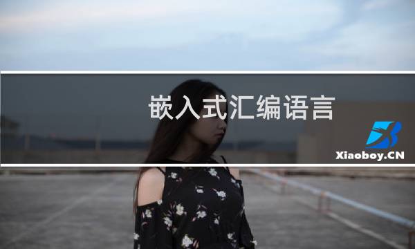 嵌入式汇编语言