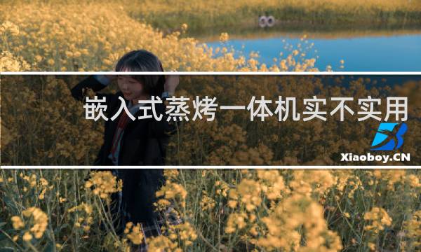 嵌入式蒸烤一体机实不实用