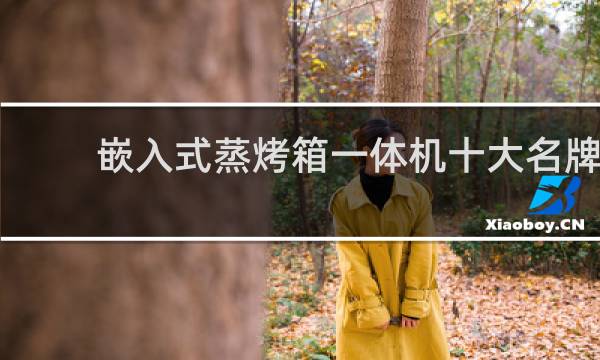 嵌入式蒸烤箱一体机十大名牌