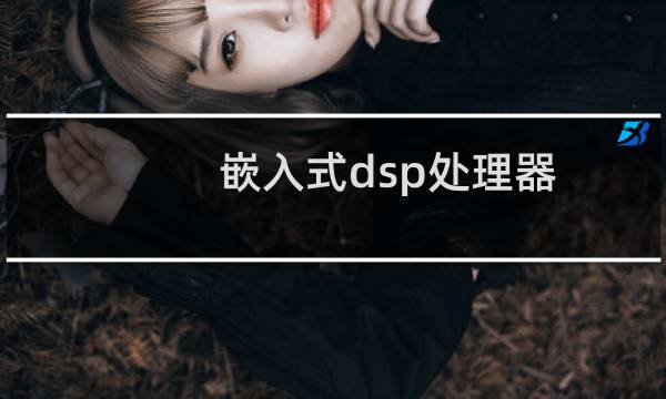 嵌入式dsp处理器