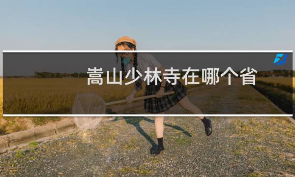 嵩山少林寺在哪个省