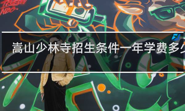 嵩山少林寺招生条件一年学费多少钱