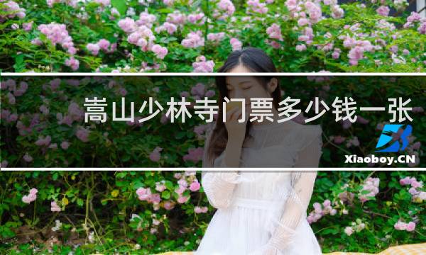 嵩山少林寺门票多少钱一张