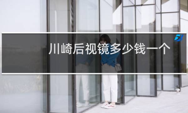 川崎后视镜多少钱一个
