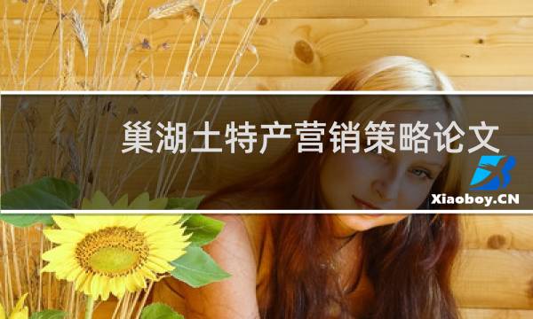 巢湖土特产营销策略论文