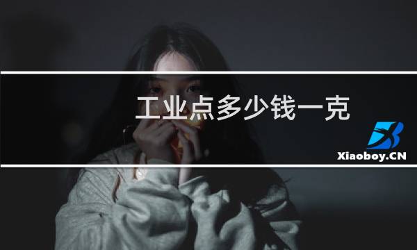 工业点多少钱一克