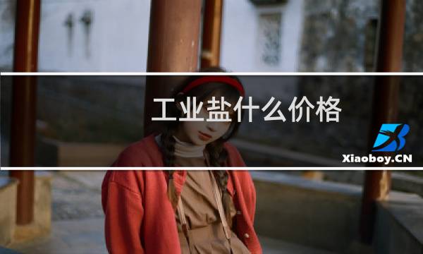 工业盐什么价格