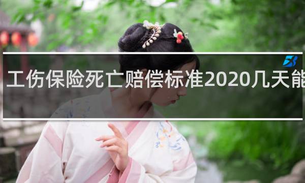 工伤保险死亡赔偿标准2020几天能赔付
