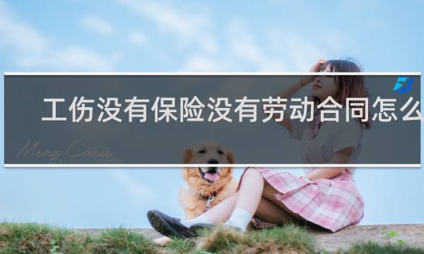 工伤没有保险没有劳动合同怎么办