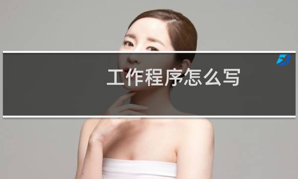 工作程序怎么写