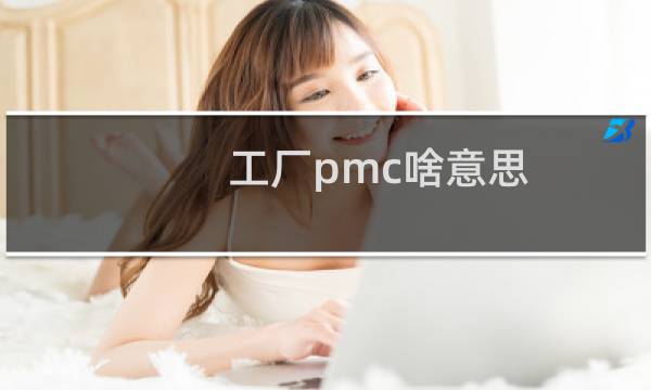 工厂pmc啥意思