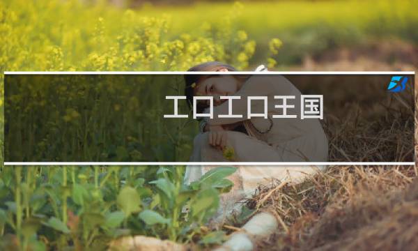 工口工口王国 攻略
