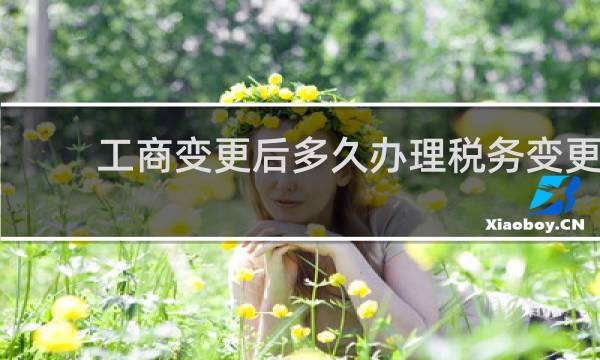 工商变更后多久办理税务变更