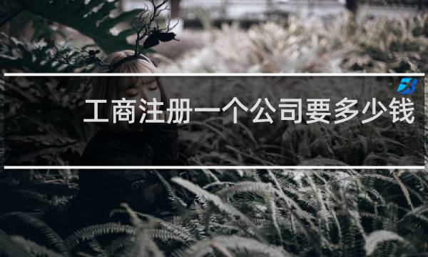 工商注册一个公司要多少钱