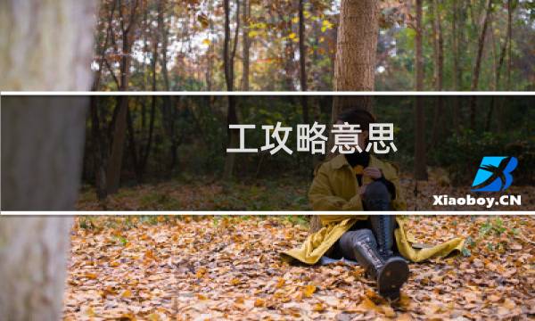 工攻略意思