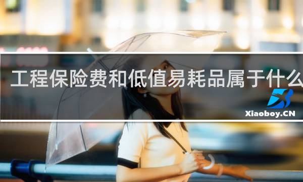 工程保险费和低值易耗品属于什么费用