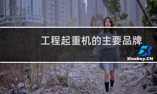 工程起重机的主要品牌