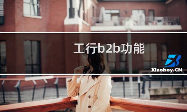工行b2b功能