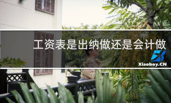 工资表是出纳做还是会计做