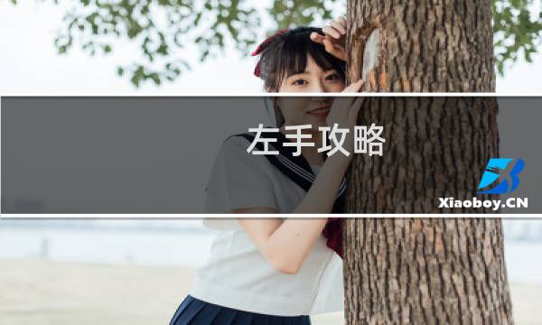 左手攻略