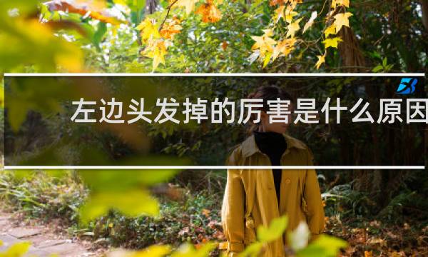 左边头发掉的厉害是什么原因