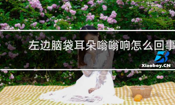 左边脑袋耳朵嗡嗡响怎么回事