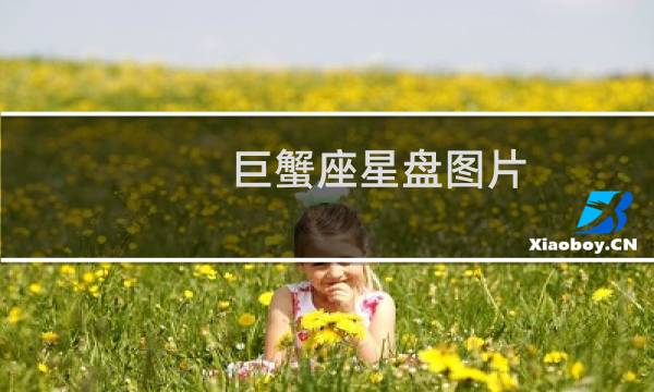 巨蟹座星盘图片