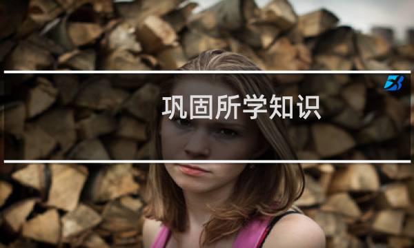 巩固所学知识