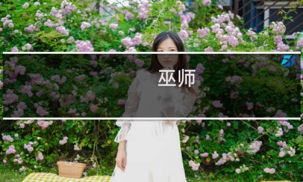 巫师 任务攻略