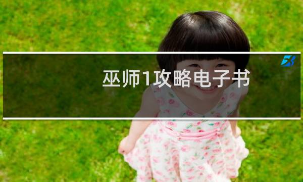 巫师1攻略电子书