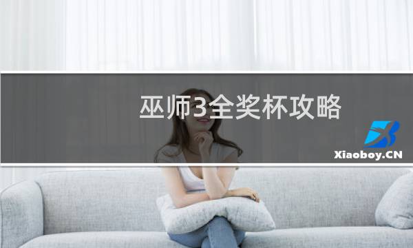巫师3全奖杯攻略