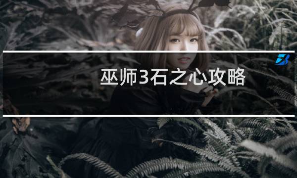 巫师3石之心攻略
