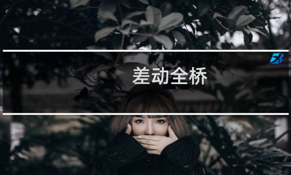 差动全桥