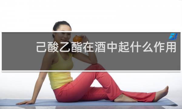 己酸乙酯在酒中起什么作用