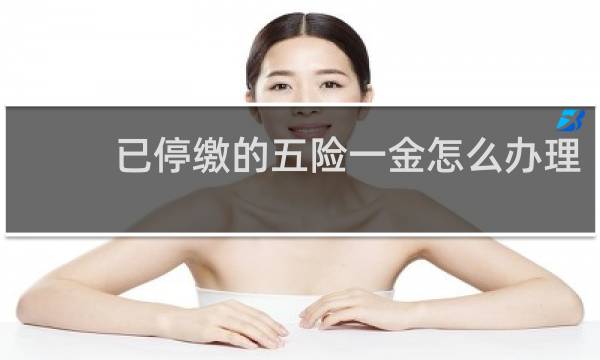 已停缴的五险一金怎么办理