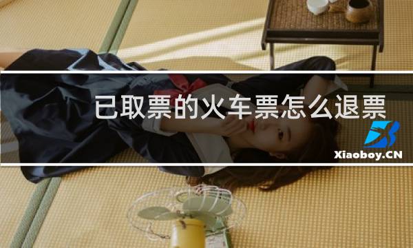 已取票的火车票怎么退票
