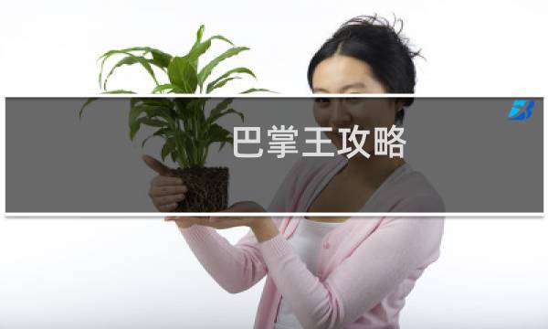 巴掌王攻略