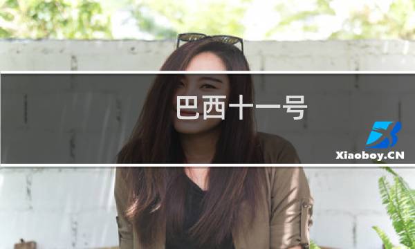 巴西十一号