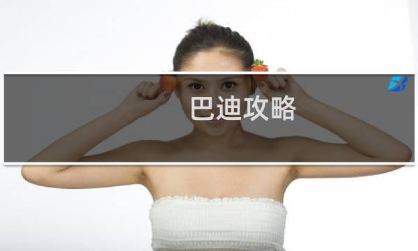 巴迪攻略