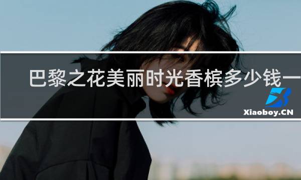 巴黎之花美丽时光香槟多少钱一瓶