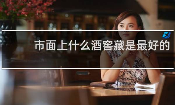 市面上什么酒窖藏是最好的