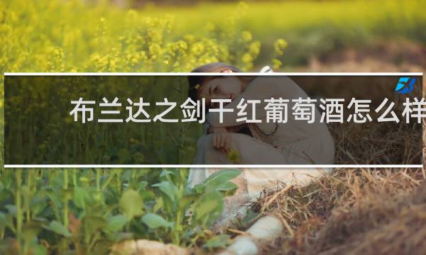 布兰达之剑干红葡萄酒怎么样