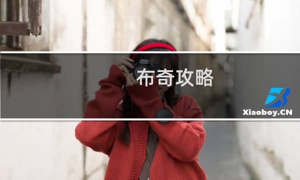 布奇攻略