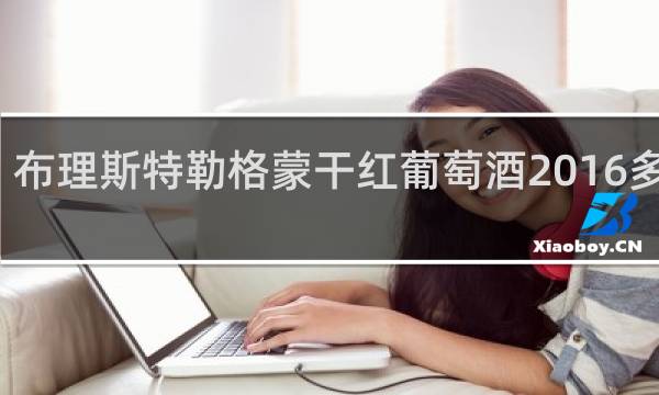布理斯特勒格蒙干红葡萄酒2016多少钱
